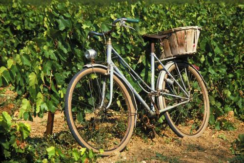 Tourouzelle La Maison Grenadine Pres Du Canal Du Midi المظهر الخارجي الصورة